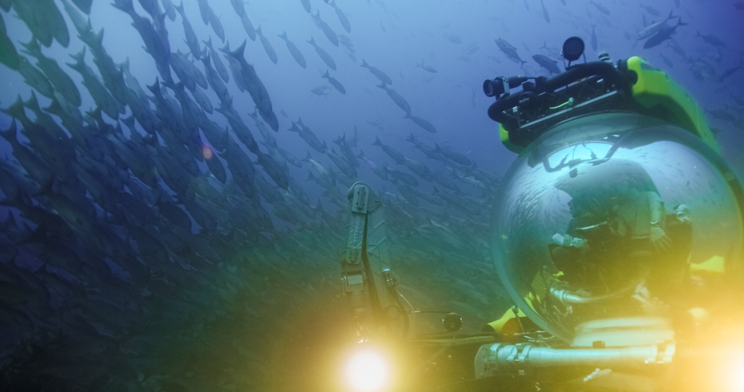 Hedge Fund Titan, Chinese Billionaires Partner for the Oceans. Is More to Come?