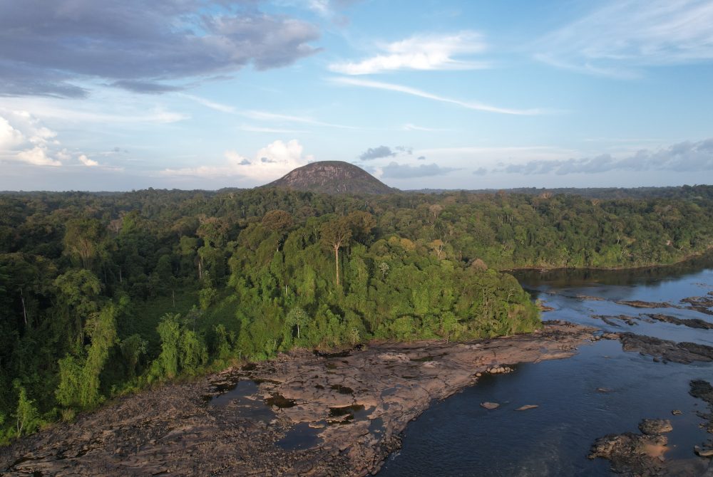 A landscape showing a river in the foreground and a large forested area in the background with a forest-covered hill in the distance.