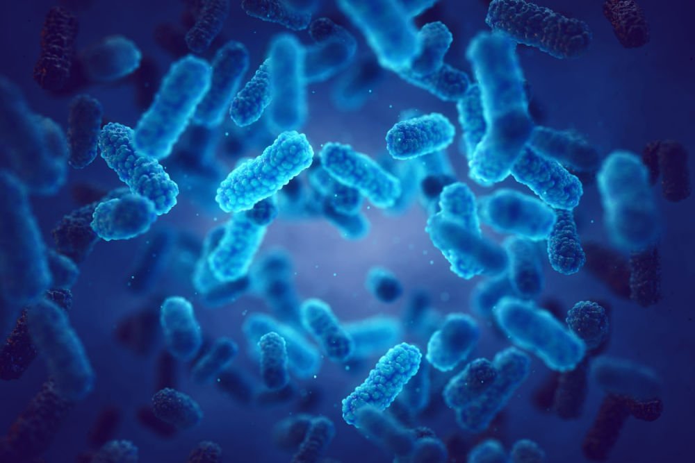 COVID Won't be the Last Pandemic. A Top Biomedical Funder Seeks to Get Ahead of Emerging Pathogens