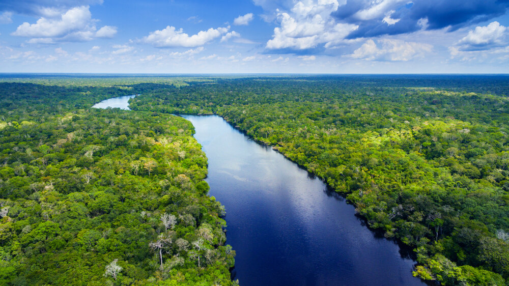 Funder Spotlight: How the Moore Foundation Works to Conserve the Natural World