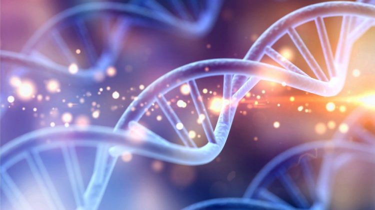 Banner for article How Two Bioscience Funding Giants are Partnering to Advance Synthetic Biology Research