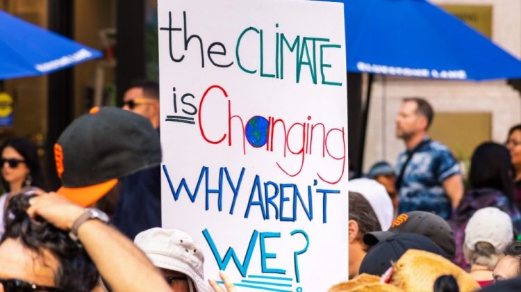 Banner for article Five Takeaways From a Dive Into MacKenzie Scott’s Climate Giving