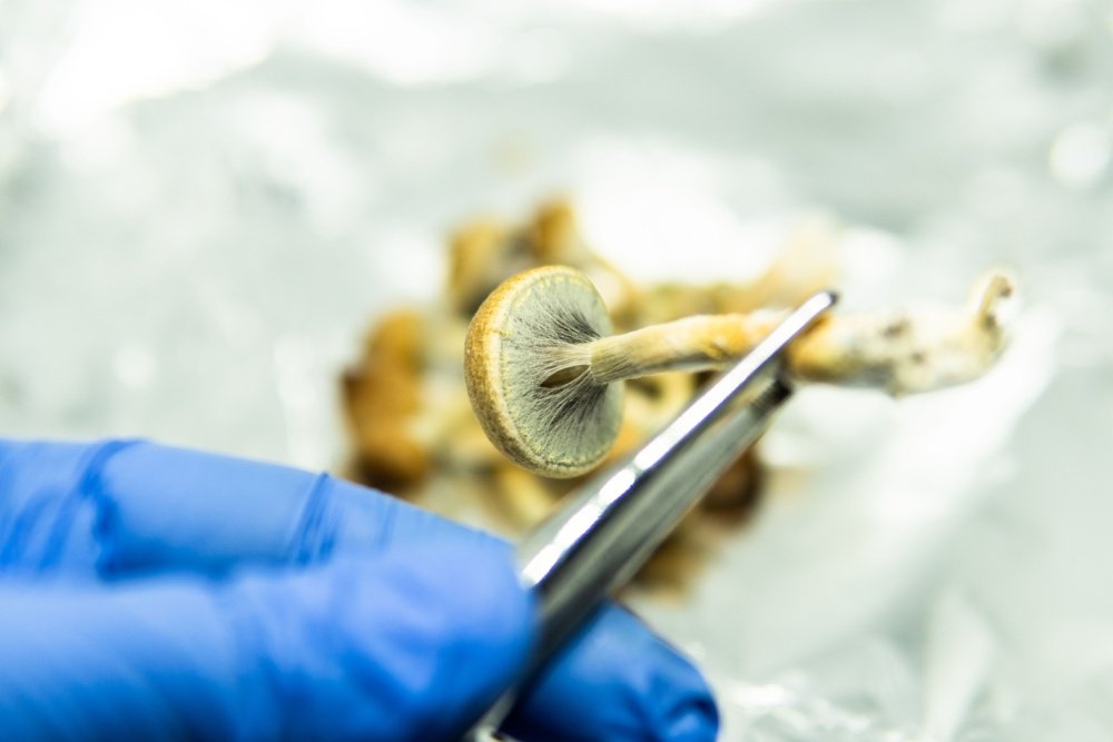 This Real Estate Mogul Is Funding Psychedelics Research to Support the LGBT+ Community