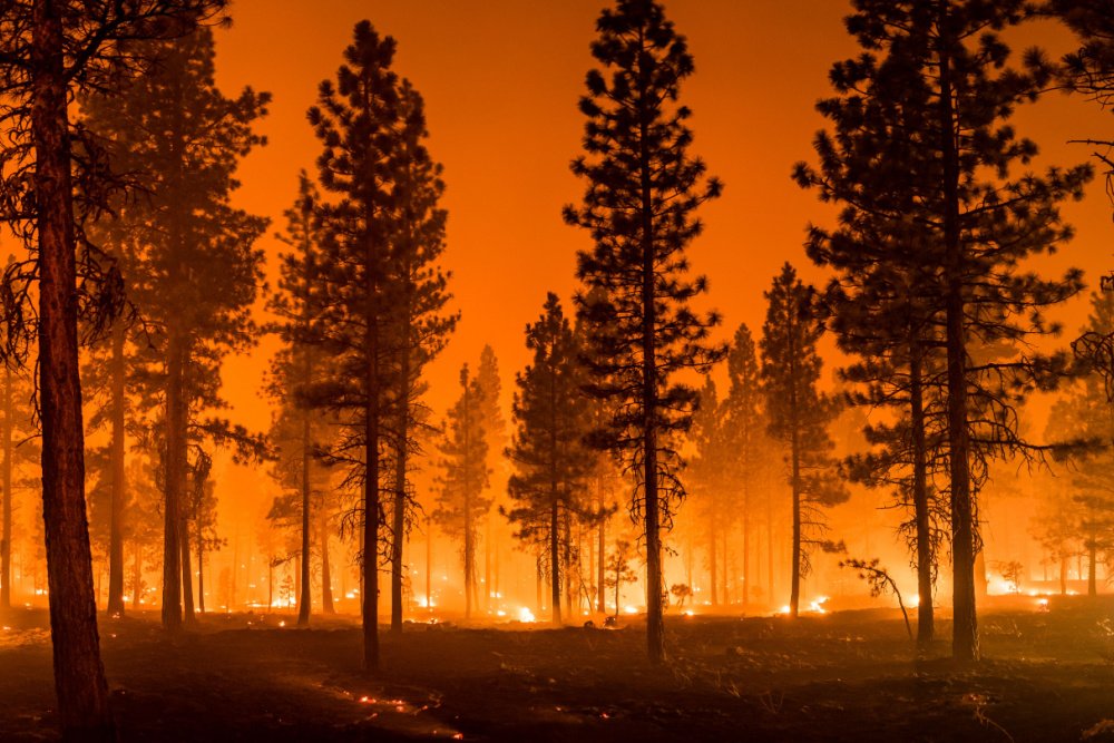 Could This Be the Year Philanthropy Gets Serious About Climate Change? Heard That One Before?
