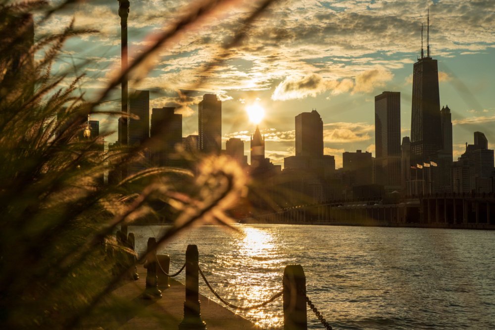 Bezos Pledges $50 Million a Year for Urban Greenery, With a Focus on Communities of Color