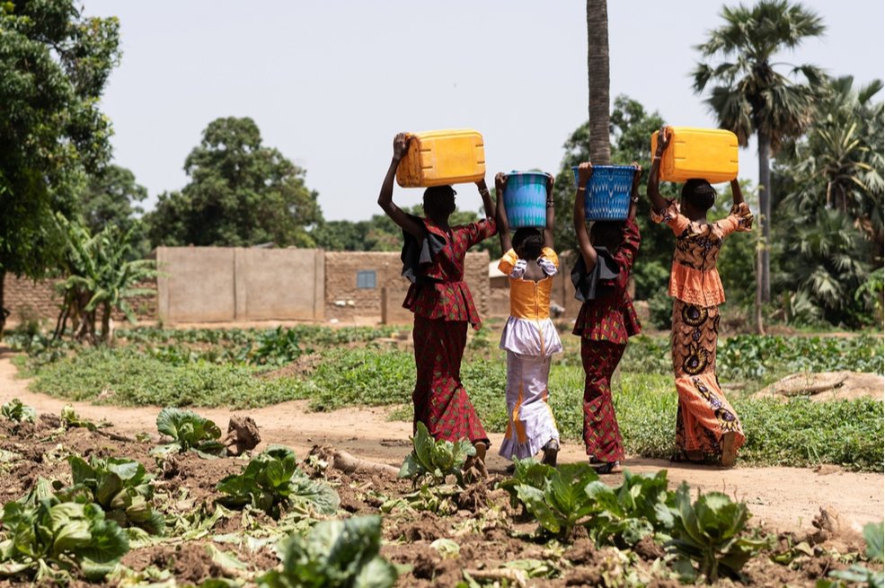 Why Open Philanthropy’s Backing This Evidence-Based Solution for Safe Water
