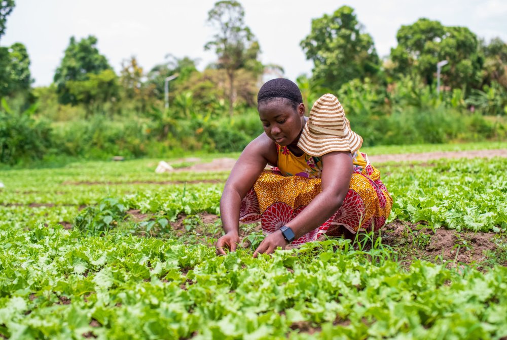 This Bespoke Funding Intermediary Focuses Donors on a Dozen Highly Vetted Global Grantees