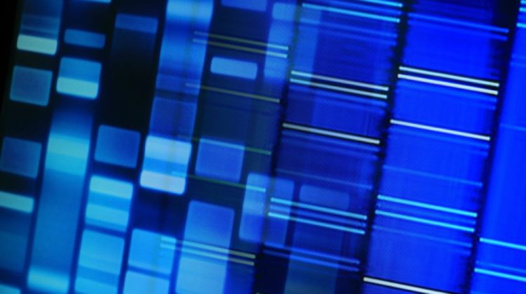 Banner for article How CZI’s Tech Team Builds New Tools to Unlock Advances in Biomedical Research