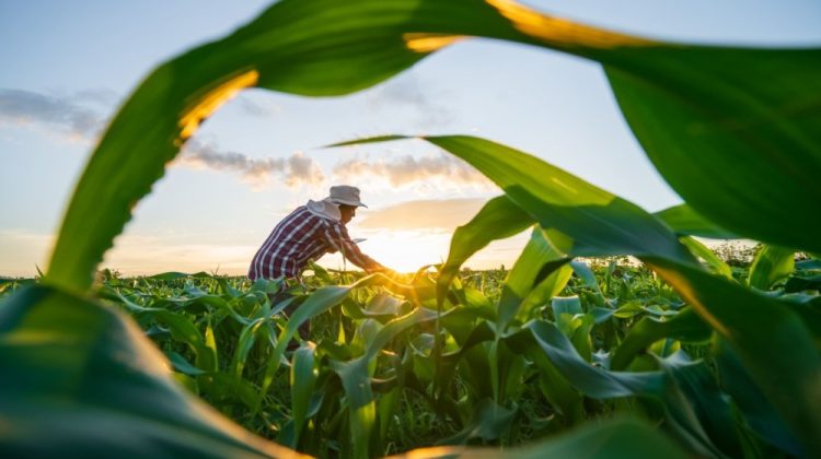 Banner for article Funding for a Better Farm Bill Has Been Sparse and Inconsistent. Is That Changing?