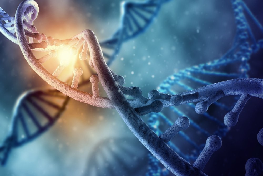 A Foundation’s Long Quest to Take on Huntington’s Disease Picks Up Speed