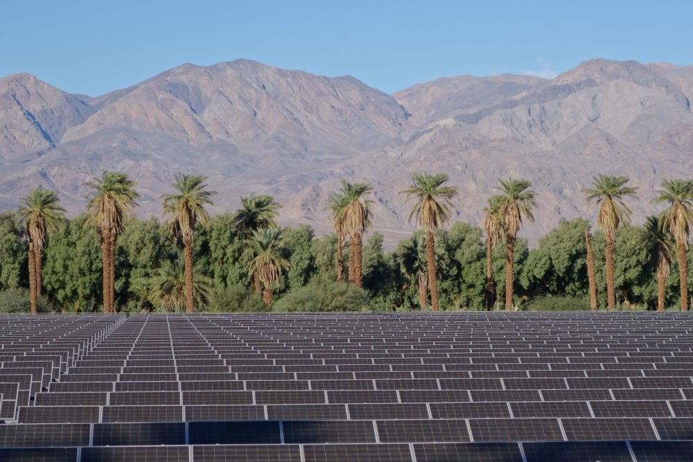 Green Middleweights: 25 Prominent, Mid-Sized Environmental Grantmakers