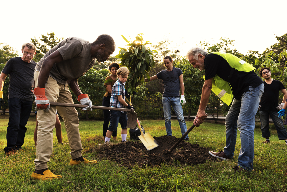 Places to Gather: How a Community Foundation is Growing Public Spaces