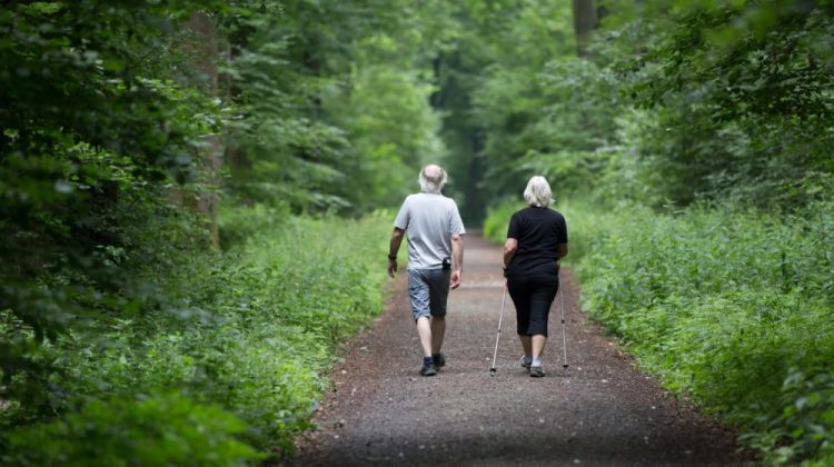 Banner for article The Biggest XPRIZE Yet Seeks Therapies that Roll Back the Depredations of Aging