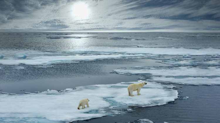 Banner for article Honoring Climate Pioneers: A Prestigious Prize Goes to Scientists Who Broke New Ground