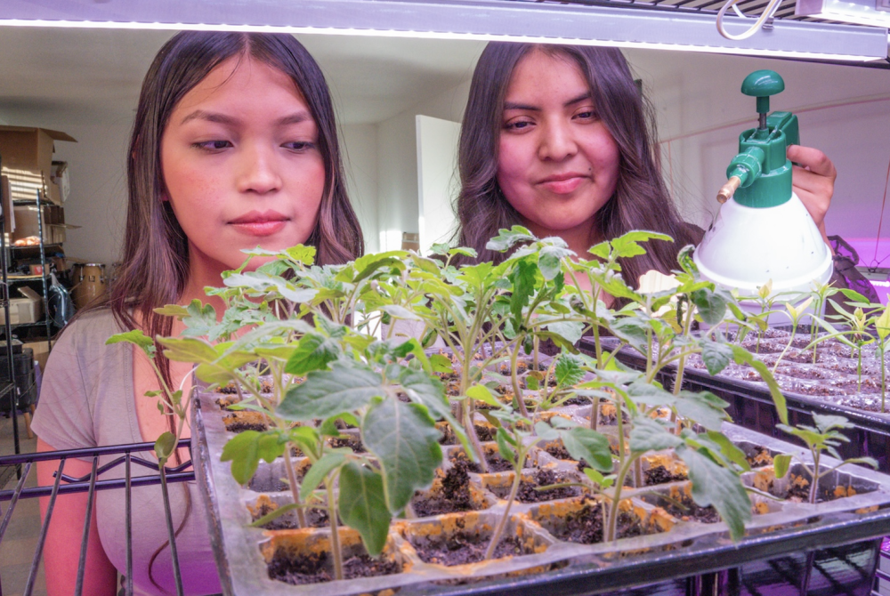 Article Banner - Two women stand behind a shelf containing plants while one waters them