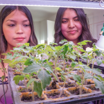 Article Banner - Two women stand behind a shelf containing plants while one waters them