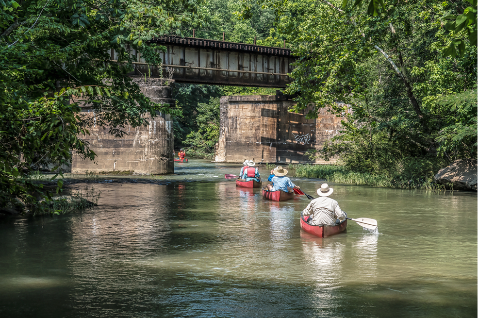 What Happens When Environmental Movement Leaders Make Funding Decisions?